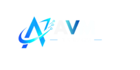 AVM IT Services
